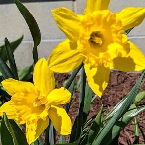 Meet your Posher, Leah